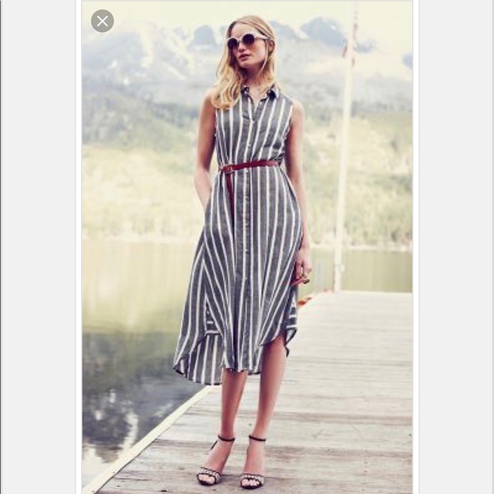 Holding Horses Shirt Dress